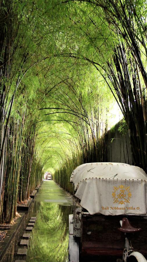 The Nibbana Villas Семиньяк Экстерьер фото